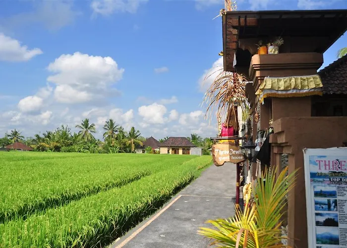 Three Dewi's 2* Ubud